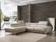 Fabiola Sectional Sofa Light Gray - Renzzi Furniture LLC